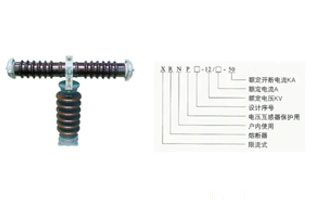 熔斷器是最簡單的保護(hù)電器，它用來保護(hù)電氣設(shè)備免受過載和短路電流的損害；按安裝條件及用途選擇不同類型高壓熔斷器如屋外跌落式、屋內(nèi)式，對于一些專用設(shè)備的高壓熔斷器應(yīng)選專用系列；我們常說的保險(xiǎn)絲就是熔斷器類。那高壓熔斷器由什么組成？高壓熔斷器型號含義是什么？高壓熔斷器的作用？這篇文章雷爾沃都給你回答了。